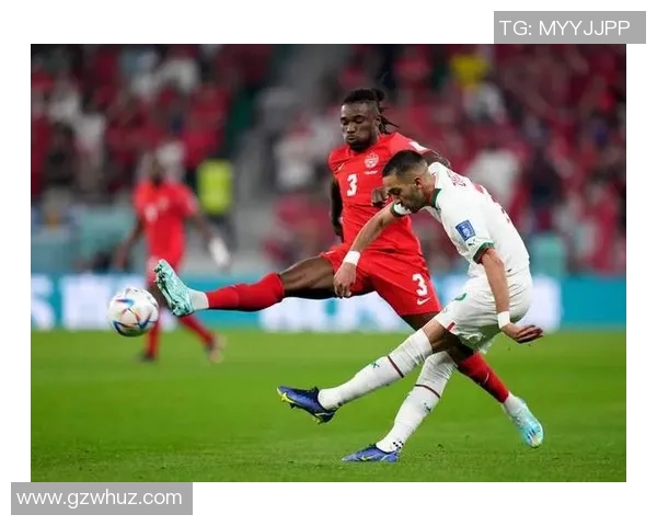 南非与安哥拉比赛因故延迟球迷期待新赛程安排