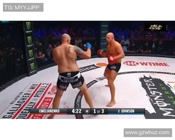 菲多与马特精彩对决视频回顾赛场瞬间与精彩时刻全记录