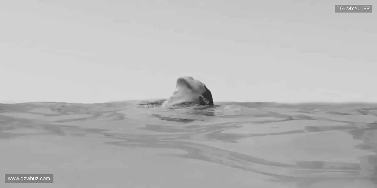 球星同款，限量周边，打造你的专属风格！👟🏆