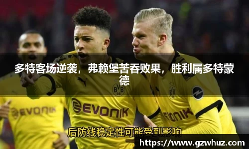 多特客场逆袭，弗赖堡苦吞败果，胜利属多特蒙德